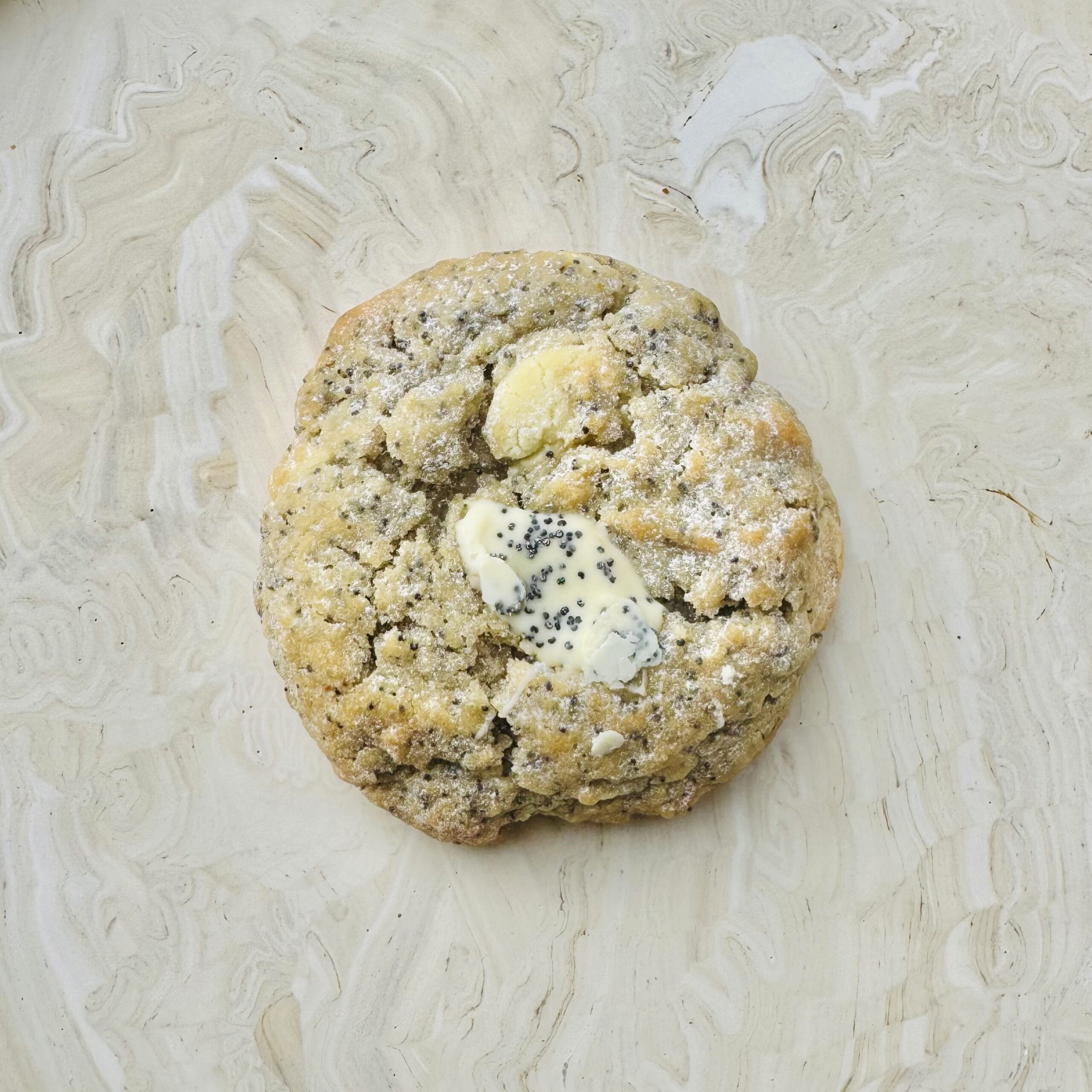 Lemon Poppy Seed Cookie